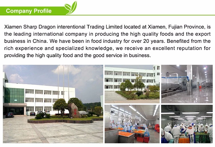 XMSDfood frozen fruit export supply overview for global buyers
