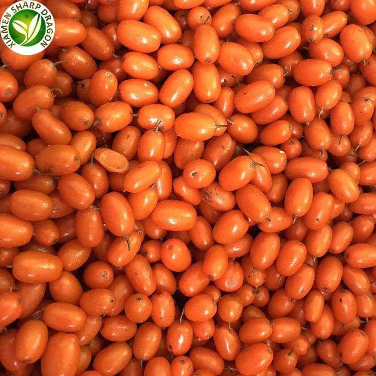 IQF Sea Buckthorn Berry Frozen IQF Sea Buckthorn Berry Frozen