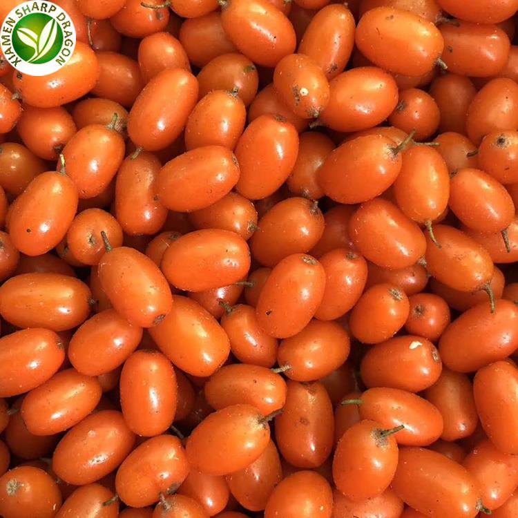 sea buckthorn in bulk