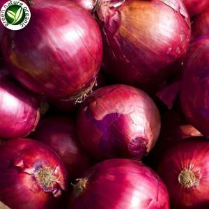 تازہ سرخ پیاز کے بلب