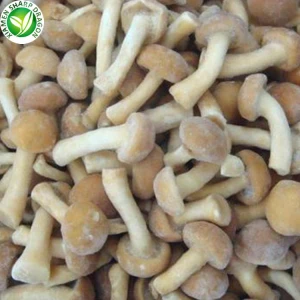 نامکو مشروم کی کاشت