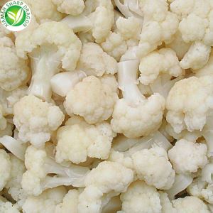 گوبھی کی تھوک قیمت
