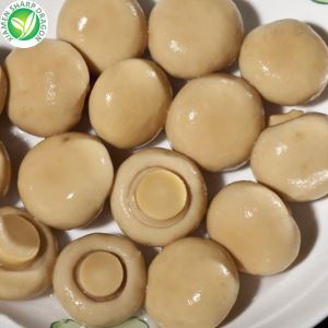 ڈبے میں بند مشروم