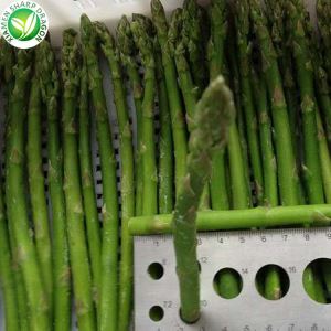 منجمد Asparagus غذائیت