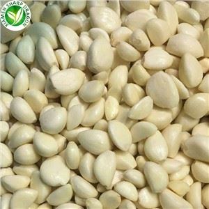 Price Of Garlic