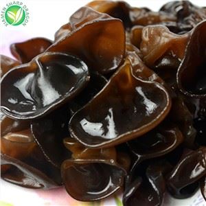 سیاہ فنگس مشروم