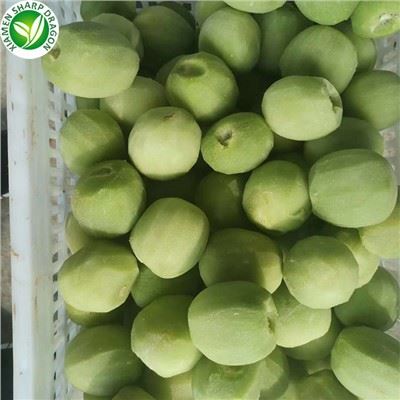 منجمد کیوی پھل آن لائن خریدیں