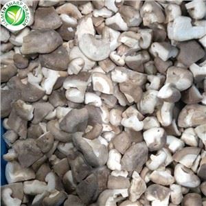 Shitake مشروم خشک Shiitake