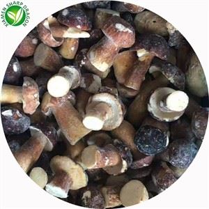 مزیدار پورسینی مشروم کی قیمت