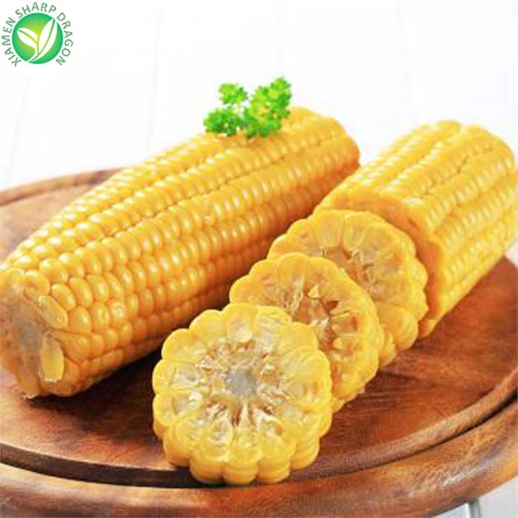 Bulk Sweet Corn For Sale